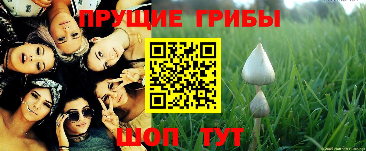 Галлюциногенные грибы мухоморы  Вход с VPN  Балтийск  Галлюциногенные грибы ЛСД 