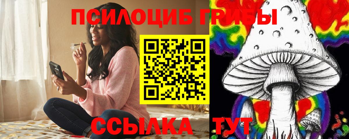 Псилоцибиновые грибы GOLDEN TEACHER Балтийск
